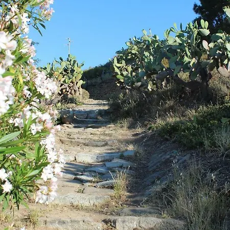 Un Salto Nel Blu