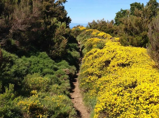 Un Salto Nel Blu Chiessi