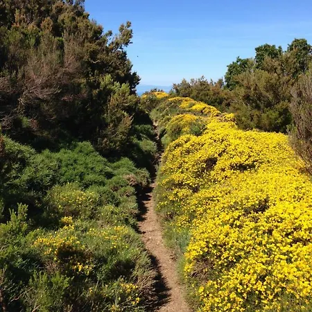 Un Salto Nel Blu Chiessi